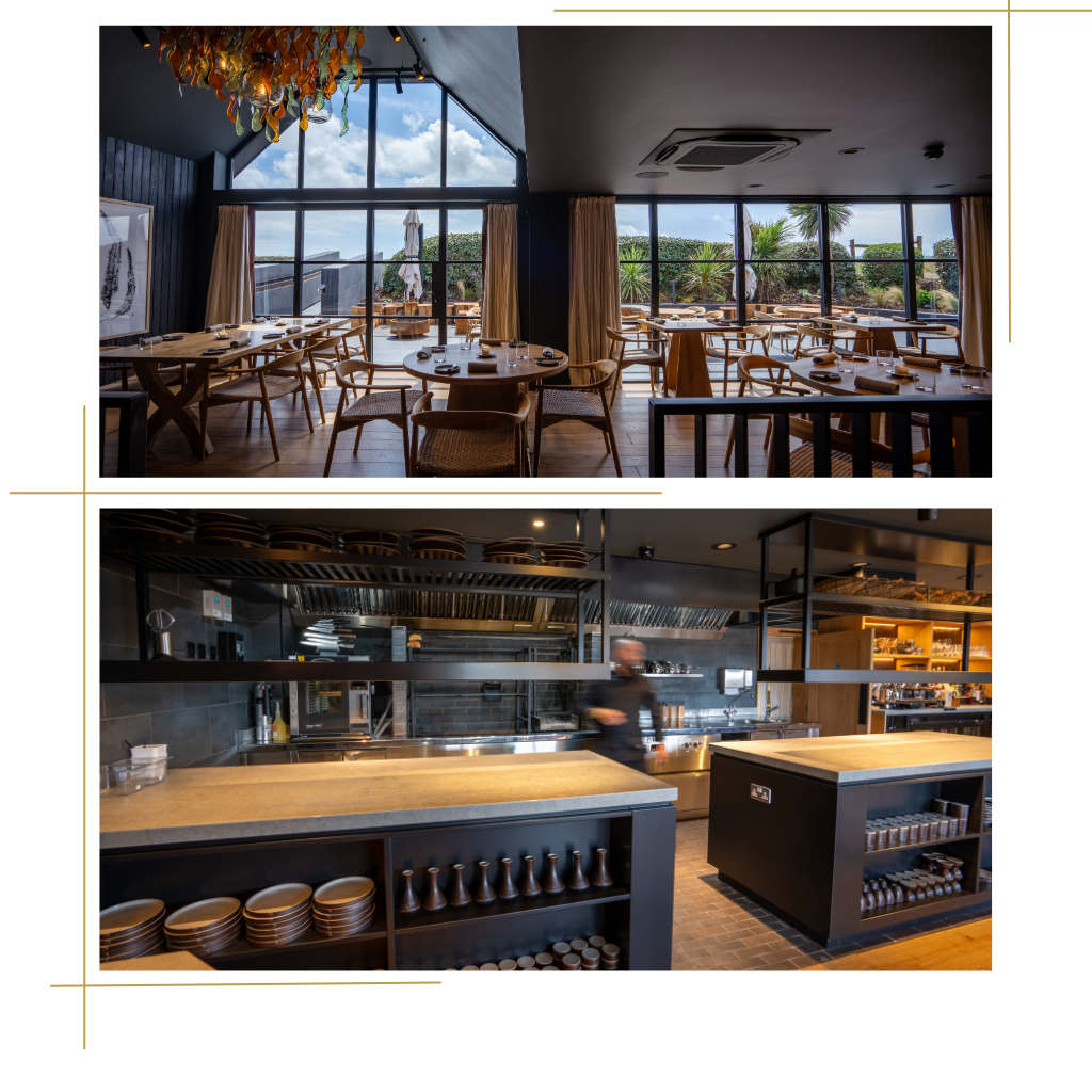 Untitled design - 2026-01-14T101944.448